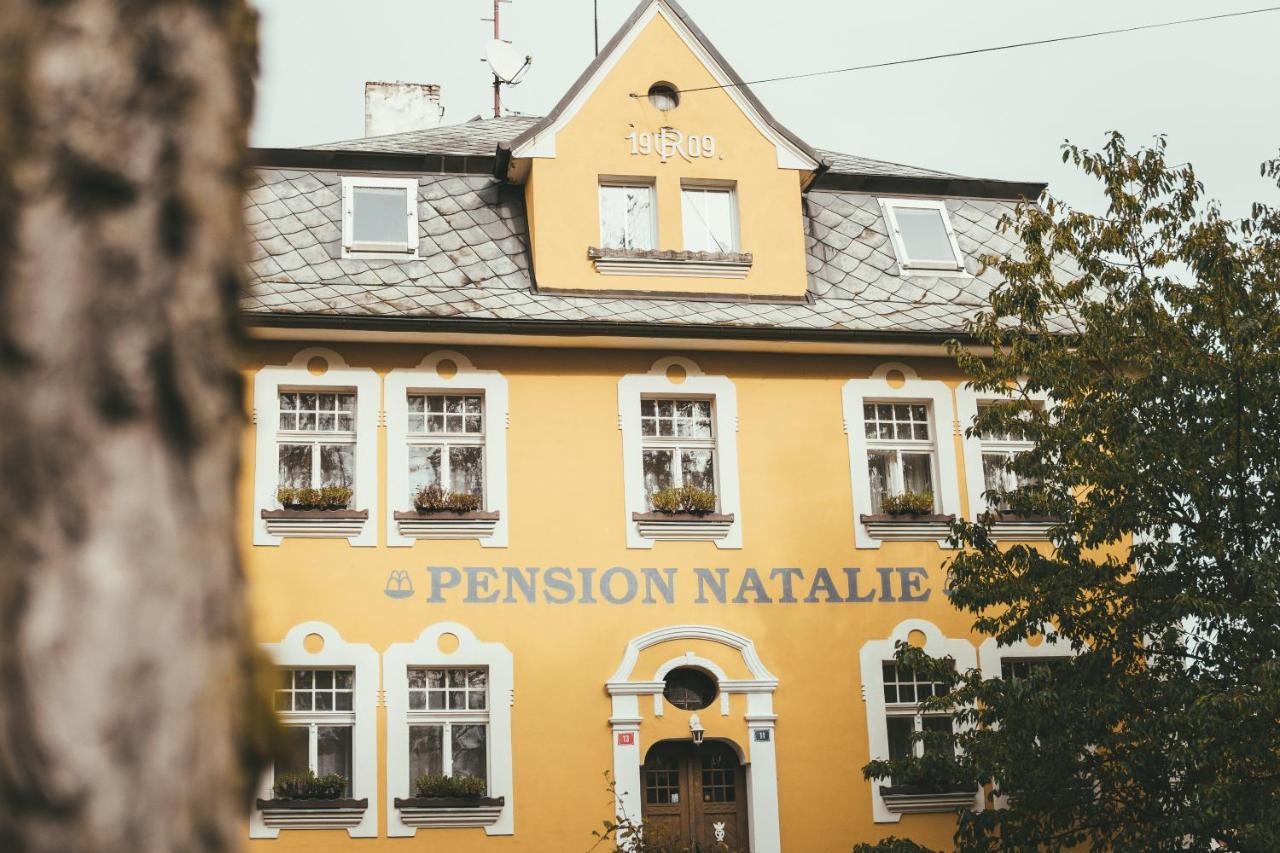 Apartmany Natalie Františkovy Lázně Exteriör bild