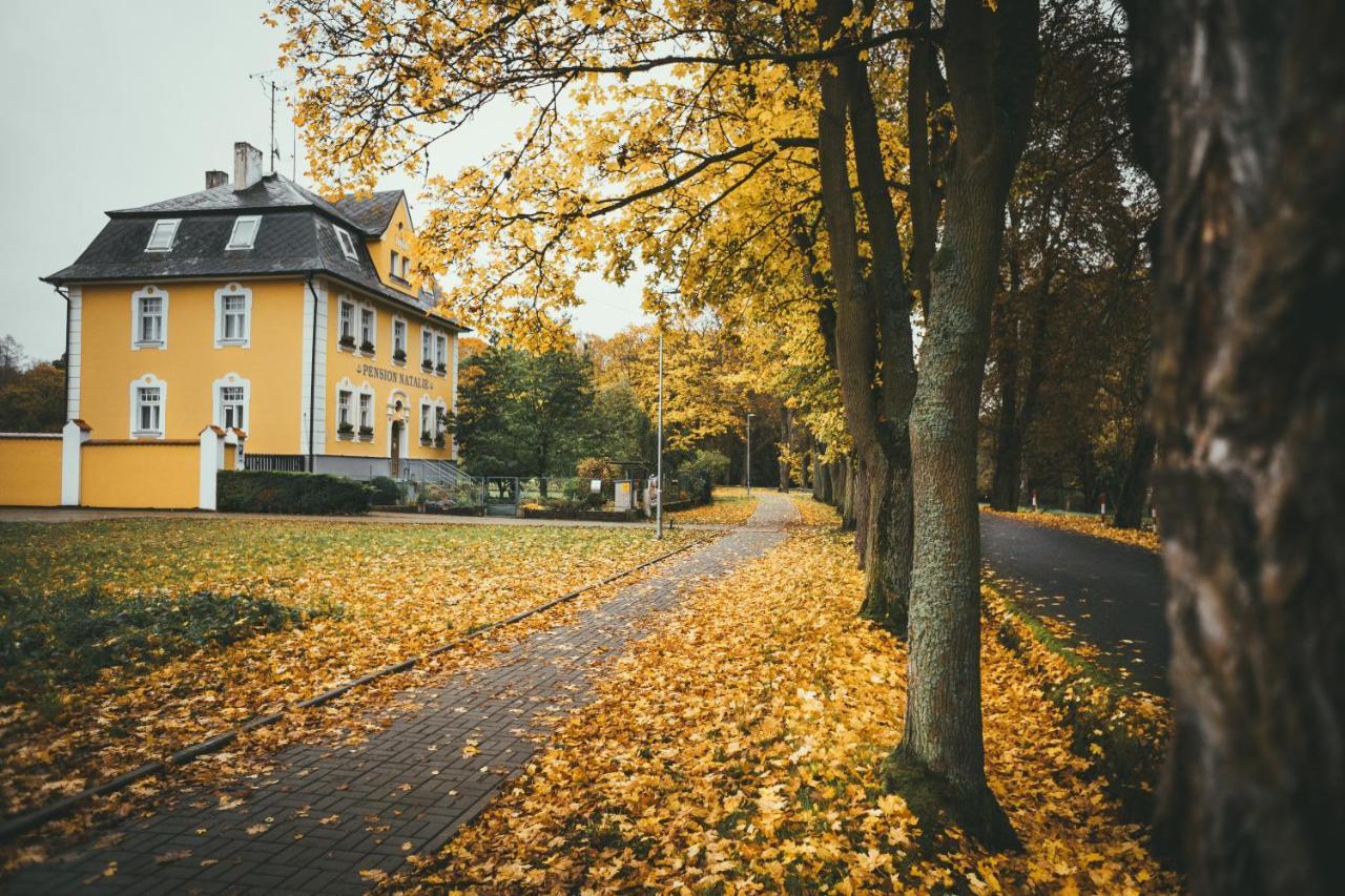 Apartmany Natalie Františkovy Lázně Exteriör bild