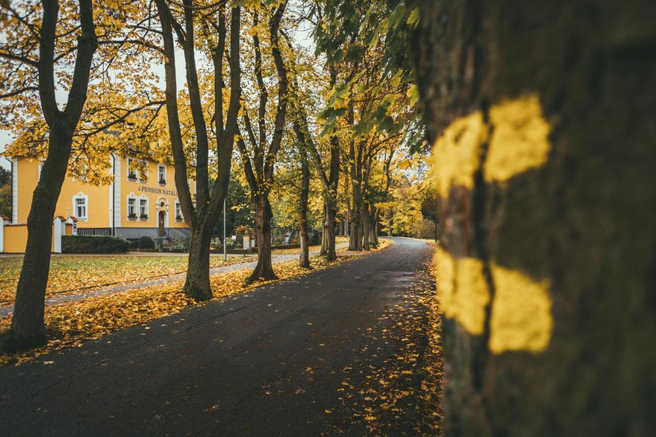 Apartmany Natalie Františkovy Lázně Exteriör bild