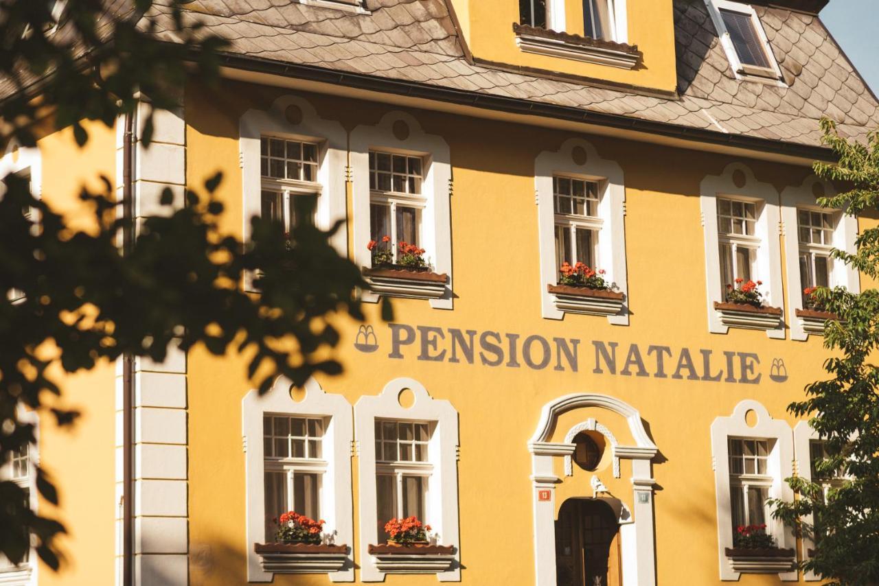 Apartmany Natalie Františkovy Lázně Exteriör bild